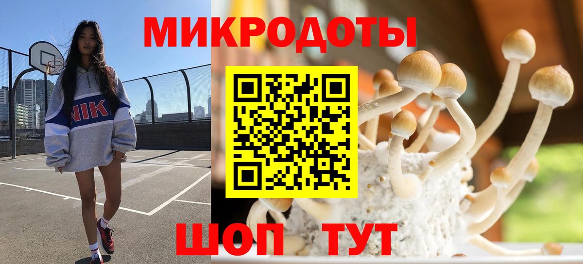 Чехов  Псилоцибиновые грибы Psilocybine cubensis  Вход с VPN 