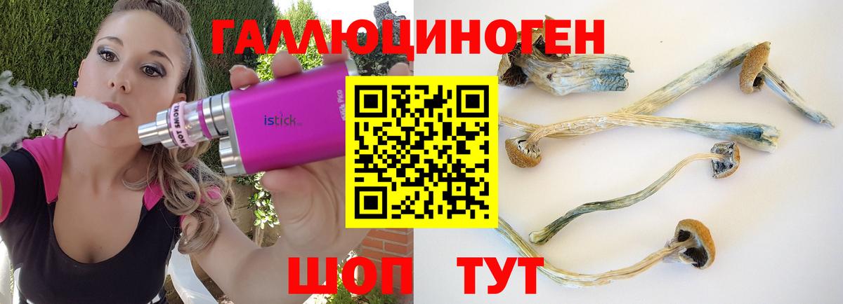 Галлюциногенные грибы Magic Shrooms Чехов